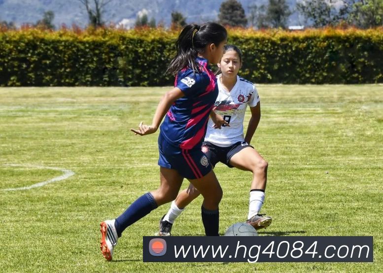 皇冠体育网站入口APP 封面图